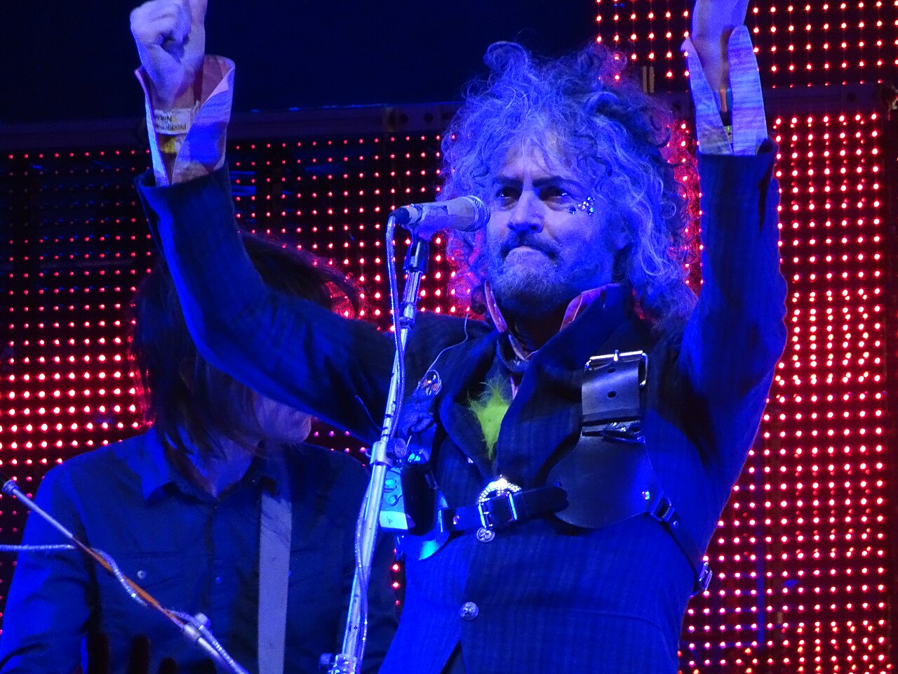 Wayne Coyne Net Worth: Unpacking His Financial Success